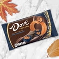 thumbnail image 3 of Dove Promises Milk Chocolate Pumpkins Fall Candy - 8.87oz, 3 of 13