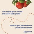 thumbnail image 3 of Rougemont 100% Pure Royal Gala Apple Juice 2L, 3 of 7