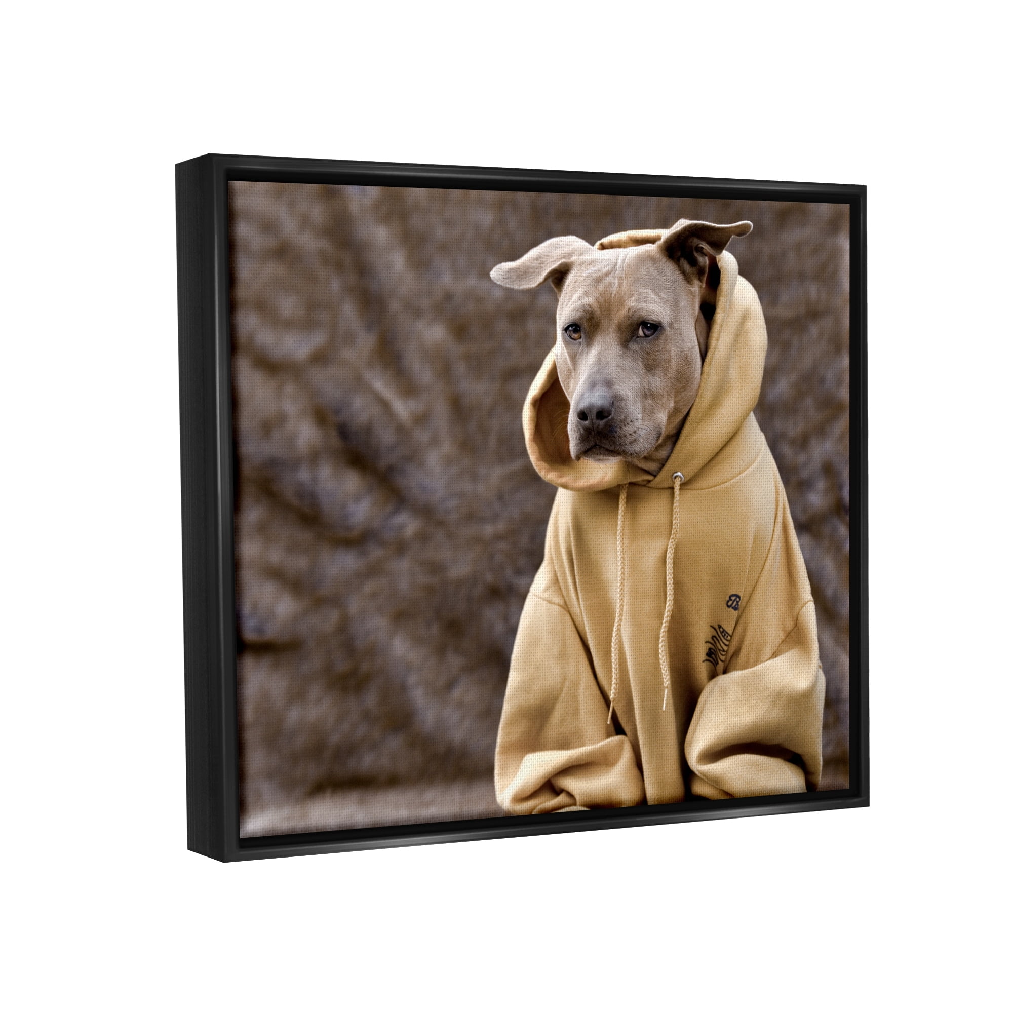 Stupell Industries Beautiful Dog Wearing Cozy Yellow Hoodie Photography Photograph Jet Black Floating Framed Canvas Print Wall Art, Design by Michael Brian