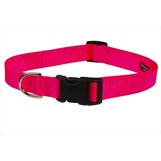 Sassy Dog Wear SOLID NEON PINK LGC Nylon bing Dog Collar, Neon Pink