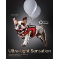 thumbnail image 2 of Chaleco FAYOGOO Air Mesh para perros pequeños con parches, 2 of 7