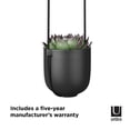 thumbnail image 5 of Umbra Bolo Hanging Planter, 5 of 14