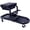 Black + Steel, variant on Ultimate Rolling Detailing & Utility Cart with Seat Cushion and Sliding Drawer, 300lbs Capacity, Black Steel Cart for Car, Truck, SUV, RV, Home, Garden, Garage & More