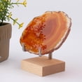 thumbnail image 1 of Brazo Soporte de exhibición de minerales de cristal Yotijar Organizador de madera Soportes de exhibición, 1 of 9