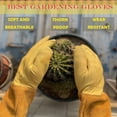 thumbnail image 5 of une Paire De Gants De Jardinage Jaune Xl Anti-pines Pour La Taille Des Rosiers, 5 of 5
