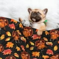 thumbnail image 3 of Yiaed Thanksgiving Turkey 1 Print Dog Blankets-Cat Blanket Washable for Couch Protection,Puppy Blanket, Soft Plush Reversible Throw Furniture Protector-Small, 3 of 8