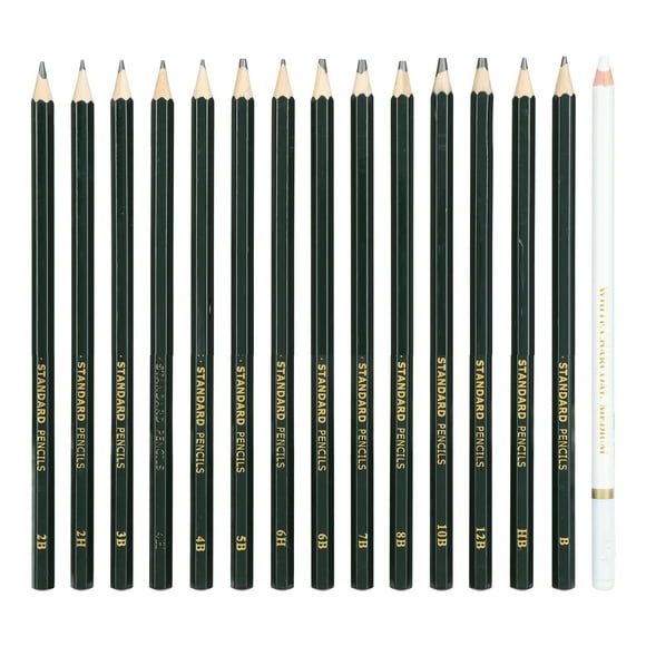 15 Pcs Sketch Pencil Set Drawing Pencil Box Art Charcoal Pencils for Painting Lovers Art Students