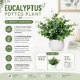 thumbnail image 2 of Green Artificial Eucalyptus Potted Plant in White Pot for Desk Shelf Bathroom Office and Home Decor, 2 of 7