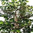 thumbnail image 2 of Vickerman TBU4240-RG 4 ft. Mini Ficus Bush Plastic Pot, Gray, 2 of 3