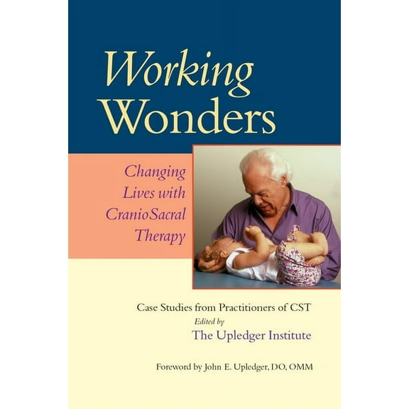 Working Wonders : Changing Lives with CranioSacral Therapy (Paperback)