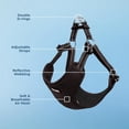 thumbnail image 5 of Best Pet Supplies Voyager Adjustable Dog Harness with Reflective Stripes for Walking, Jogging, Heavy-Duty Full Body No Pull Vest with Leash D-Ring, Breathable All-Weather - Harness (Black), M, 5 of 6