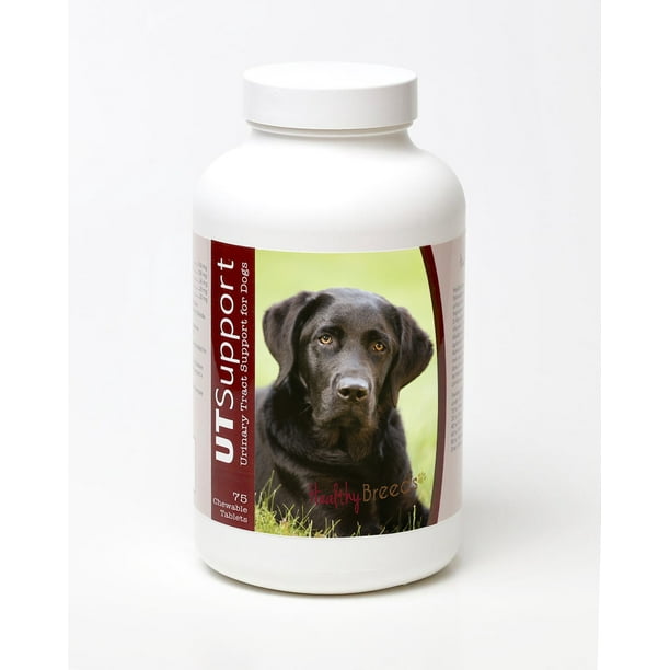 Healthy Breeds Dog Urinary Tract Support Cranberry Chewables for Labrador Retriever 75 Count