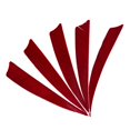 thumbnail image 3 of 5pcs Herramientas de Arqeuro Natural Universal Escudo Corte  Deporte a Aire Libre rojo Macarena Flecha Fletching, 3 of 8