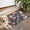 Shiba Inu and, variant on Dogs with Sunflowers Door Rugs,Washable Non Slip Door Mats Indoor,Decorative Door Mats,Entry Mat Indoor for Entrance,Bedroom,Kitchen,Bathroom,17"x30"