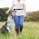 thumbnail image 4 of Bolsa de cintura para perros Bocadillo para perros Bolsa al aire libre Bocina, 4 of 5