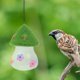 thumbnail image 1 of KAKOWELY Alimentador Colgante Para Colibríes De Plástico Multicolor Para Jardín Exterior, 1 of 6