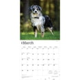 thumbnail image 3 of Australian Shepherds | 2026 12x24" (Hanging) Square Wall Calendar | Plastic-Free, 3 of 9