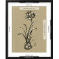 thumbnail image 5 of Art.com Botanical Sketch Black and White II Art Print by Ethan Harper, Black Frame Wall Art, 17" x 21", 5 of 5