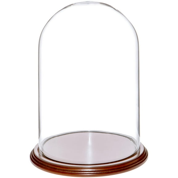 Plymor 8" x 12" Glass Display Dome Cloche (Walnut Veneer Base)