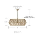 thumbnail image 3 of Capital Lighting 430361MA Kaiya 6 Light 31" Wide Cage Pendant - Brass, 3 of 7