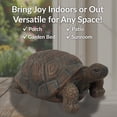thumbnail image 3 of Sunnydaze 9" Tanya the Tortoise Poly-Concrete Outdoor Statue, 3 of 9