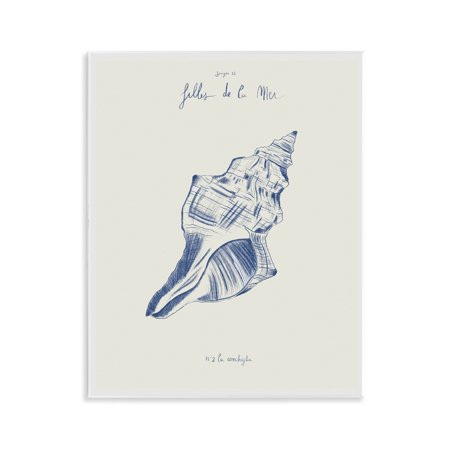 Stupell Industries Filles De La Mer Conch Shell Wall Plaque Art design by 1x, 14 x 11