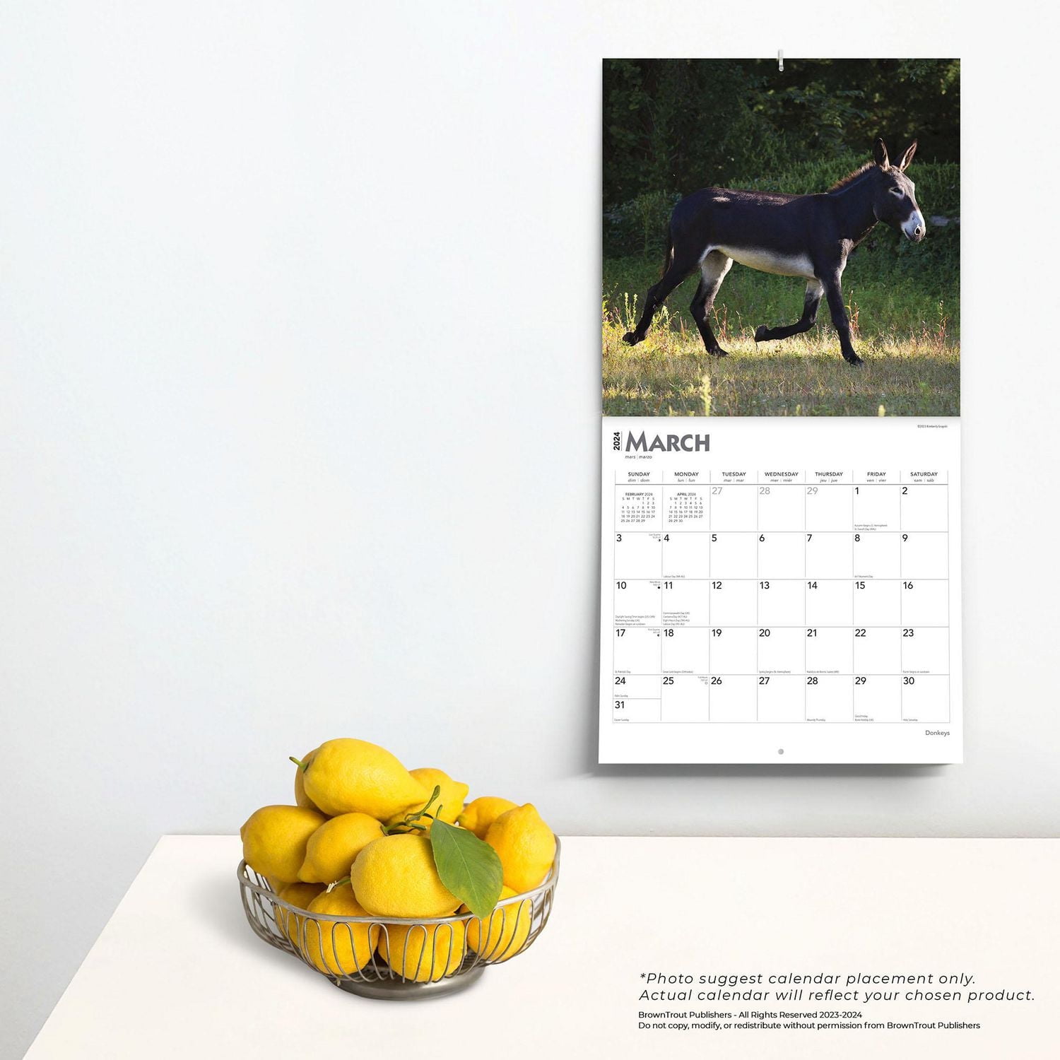 BrownTrout Donkeys 2024 12x24 Inch Square Wall Calendar, 9781975462611