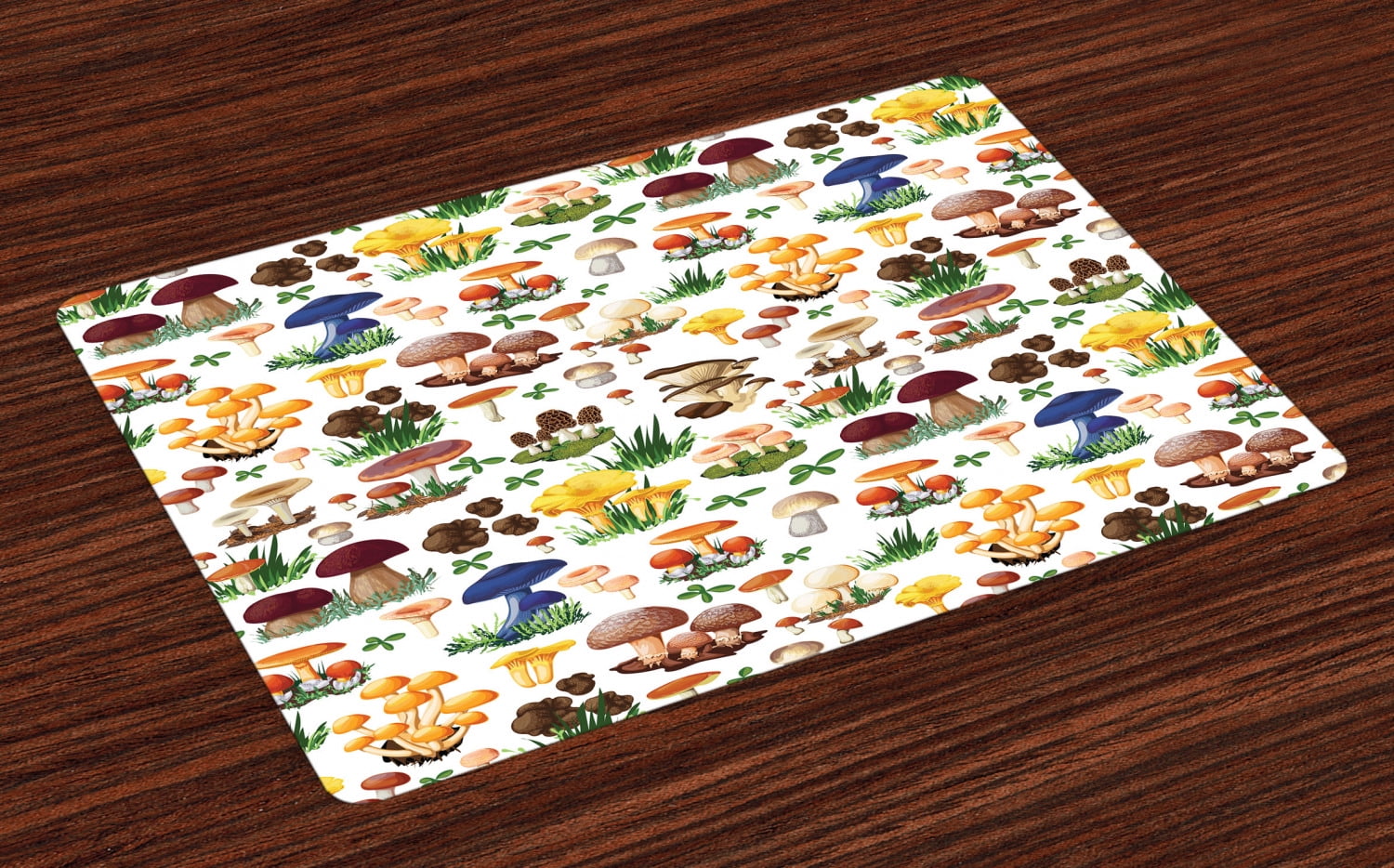 Mushroom Placemats Set of 4 Pattern with Types of Mushrooms Wild