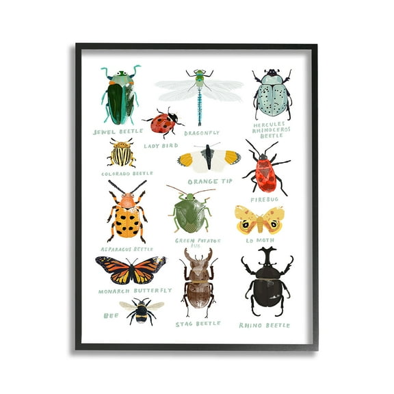 Stupell Industries Educational Bug Types Animals & Insects Painting Black Framed Art Print Wall Art, 11 x 14