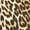 Brown Leopard, variant on White Mark Women's Plus Size Printed Cheetah Pants