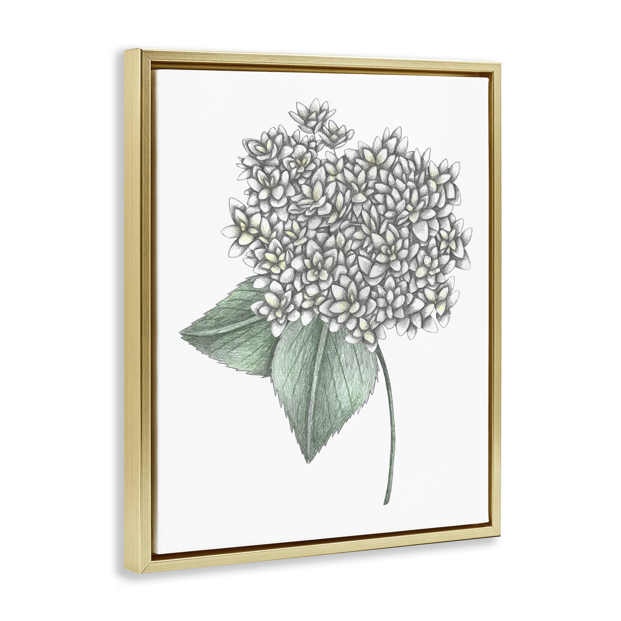 White Hydrangea Sketch Blossom Gold Framed Floater Canvas Wall Art, design by Cecilia Battaini