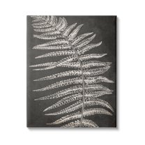 Stupell Industries Fern Leaf on Grey Botanical & Floral Painting Gallery Wrapped Canvas Print Wall Art, 24 x 30