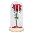 thumbnail image 1 of Vidrio De Rosa Claro, 1 of 7