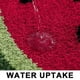 thumbnail image 4 of Alfombra de felpa con forma de sandía para baño, material de microfibra antideslizante, decoración de frutas que se absorbe rápidamente y se seca rápido, alfombra de baño lavable a máquina para una, 4 of 6