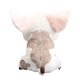 thumbnail image 3 of Peluche de cerdo sentado de 20 cm – Lindo peluche de cerdo estilo Baymax, suave muñeco de cerdo kawaii para niños y regalo, 3 of 5
