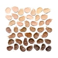 thumbnail image 4 of Base de maquillaje Essence Stick Color 170 10gr, 4 of 8