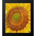 thumbnail image 2 of Fitzharris, Tim 12x13 Black Modern Framed Museum Art Print Titled - Sunflowers, 2 of 5