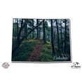 thumbnail image 1 of Colorado Forest Path Beautiful Nature Outdoor Explore Adventure - 5" Vinyl Sticker - For Car Laptop I-Pad - Waterproof Decal, 1 of 1