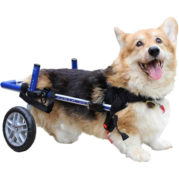 merrythought dog on wheels