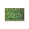 thumbnail image 1 of Green Wall Art with Frame, Brazilian Rain Tropic Exotic Forest Tree Big Huge Leaf Macro Texture Art Print, Printed Fabric Poster for Bathroom Living Room, 35" x 23", Dark Green, by Ambesonne, 1 of 2