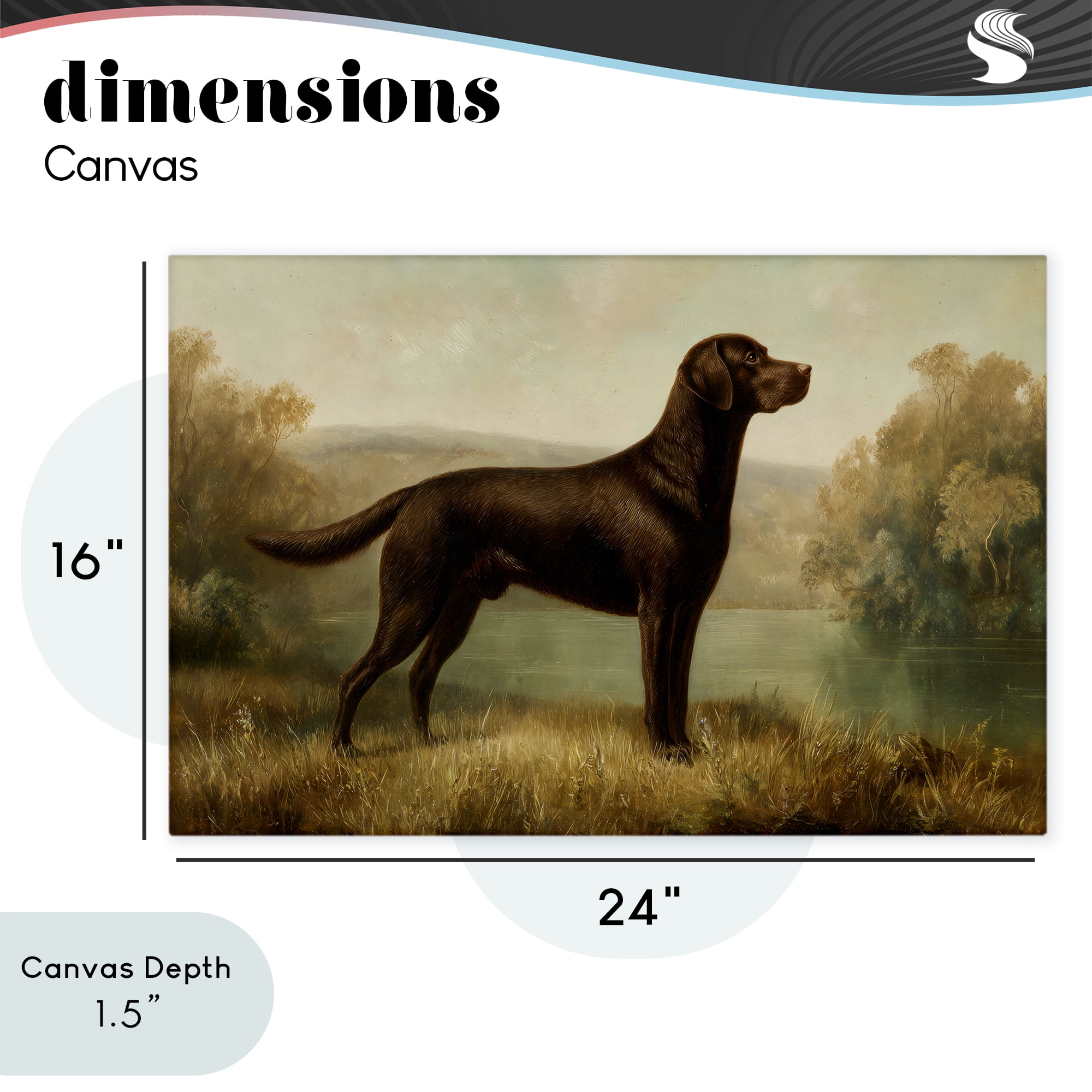 Stupell Industries Chocolate Brown Labrador Canvas Wall Art, design by Petal Prints Design