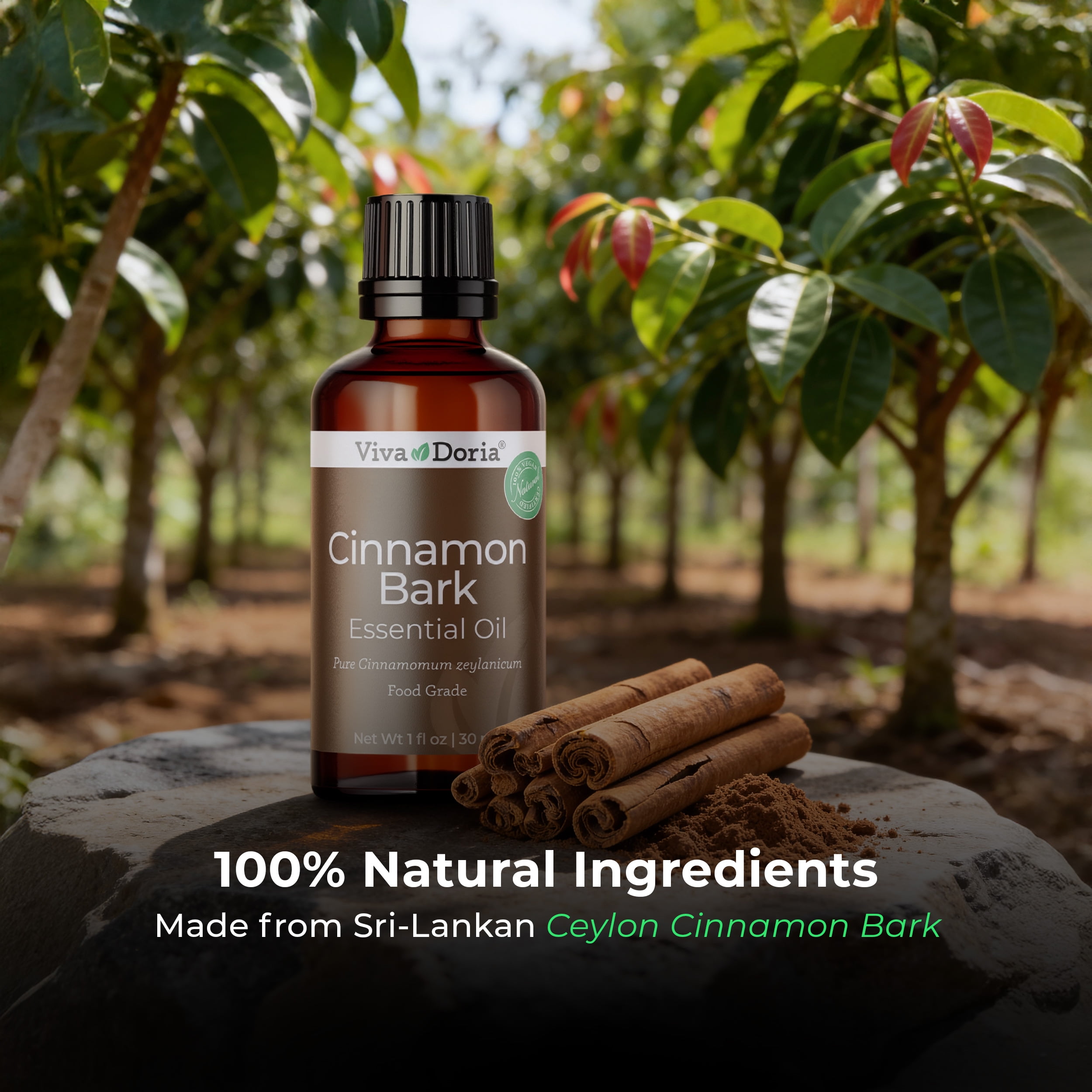 Viva Doria Cinnamon Bark Essential Oil, 100% Pure, Natural Essential Oil, Undiluted, for Aromatherapy | Food Grade, 30 mL (1 Fluid Ounce)