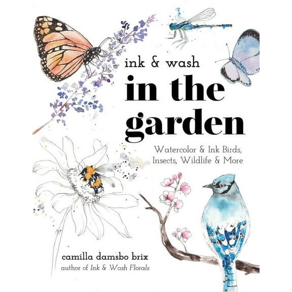 Ink & Wash in the Garden : Watercolor & Ink Birds, Insects, Wildlife & More (Paperback)
