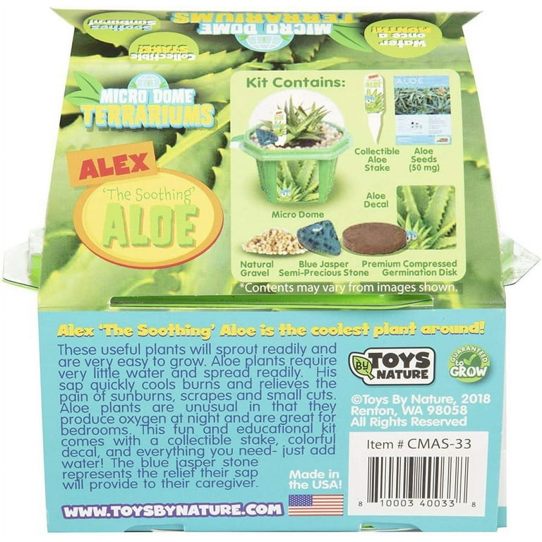 Toys By Nature Character Micro Dome Aloe Plant Terrarium Kit