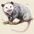 thumbnail image 3 of CafePress - Opossum Possum Animal Light T Shirt - Men's Classic Graphic T-Shirt, 3 of 5