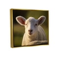 thumbnail image 3 of Stupell Industries Gazing Farm Sheep Photograph Photograph Metallic Gold Floating Framed Canvas Print Wall Art, Design by Daphne Polselli, 3 of 8