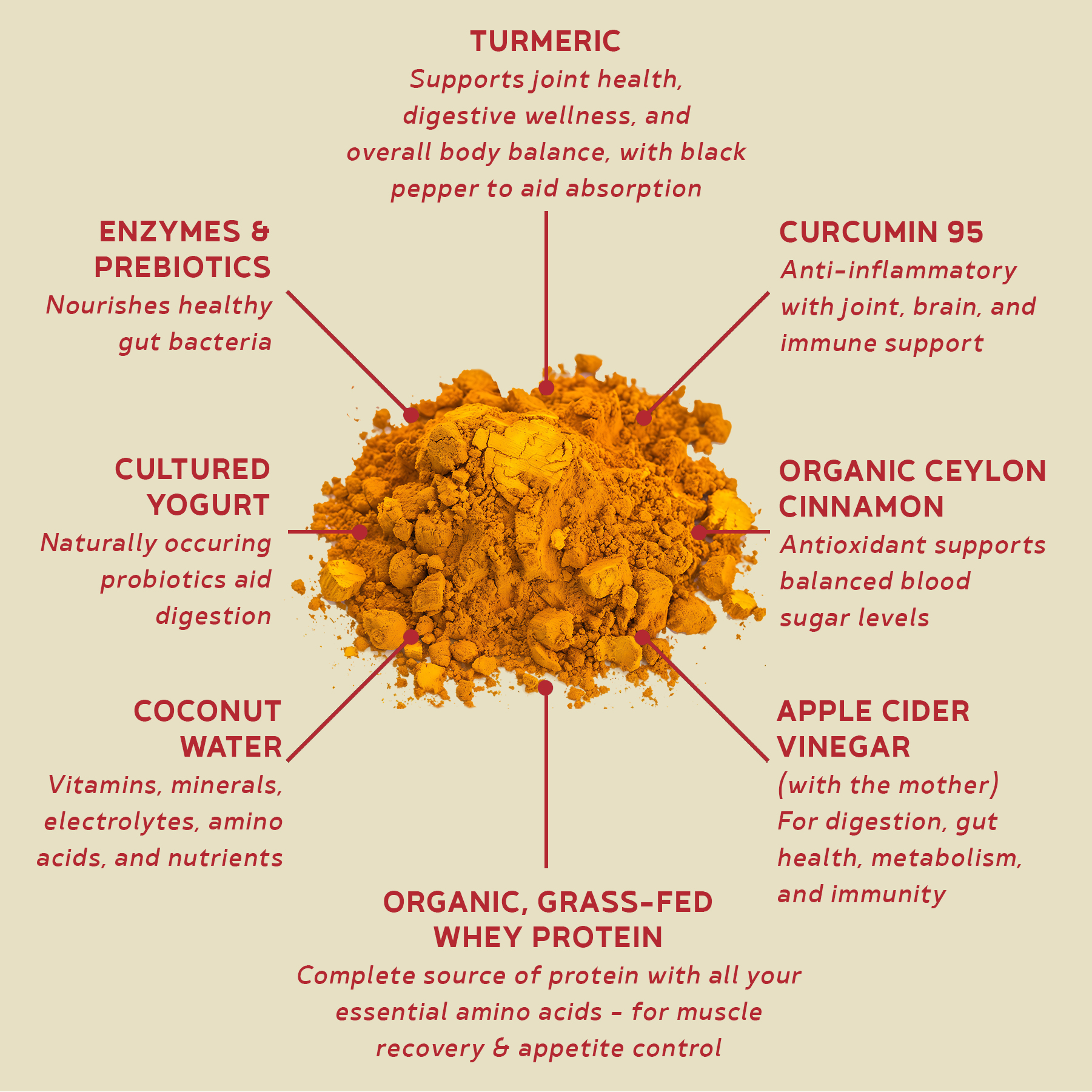 BBfL Protein Functional Powder, 21g Protein, Grass-fed Whey Protein, Apple Cider Vinegar, 50mg Digestive Enzymes, Prebiotics, 750mg of Turmeric/Curcumin 95% Extract (15 Servings, Turmeric)