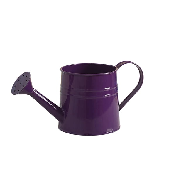 zhonghuaying 1 Pack Purple Metal Watering Can, Small Garden Watering Pot with Sprinkler Head and Curved Handle