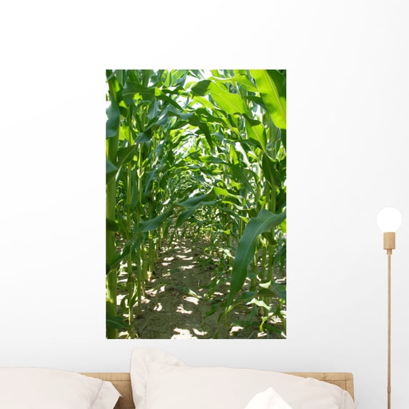 Corn Stalk Rows Wall Mural Decal Sticker, Wallmonkeys Peel & Stick Vinyl Graphic (24 in H x 16 in W