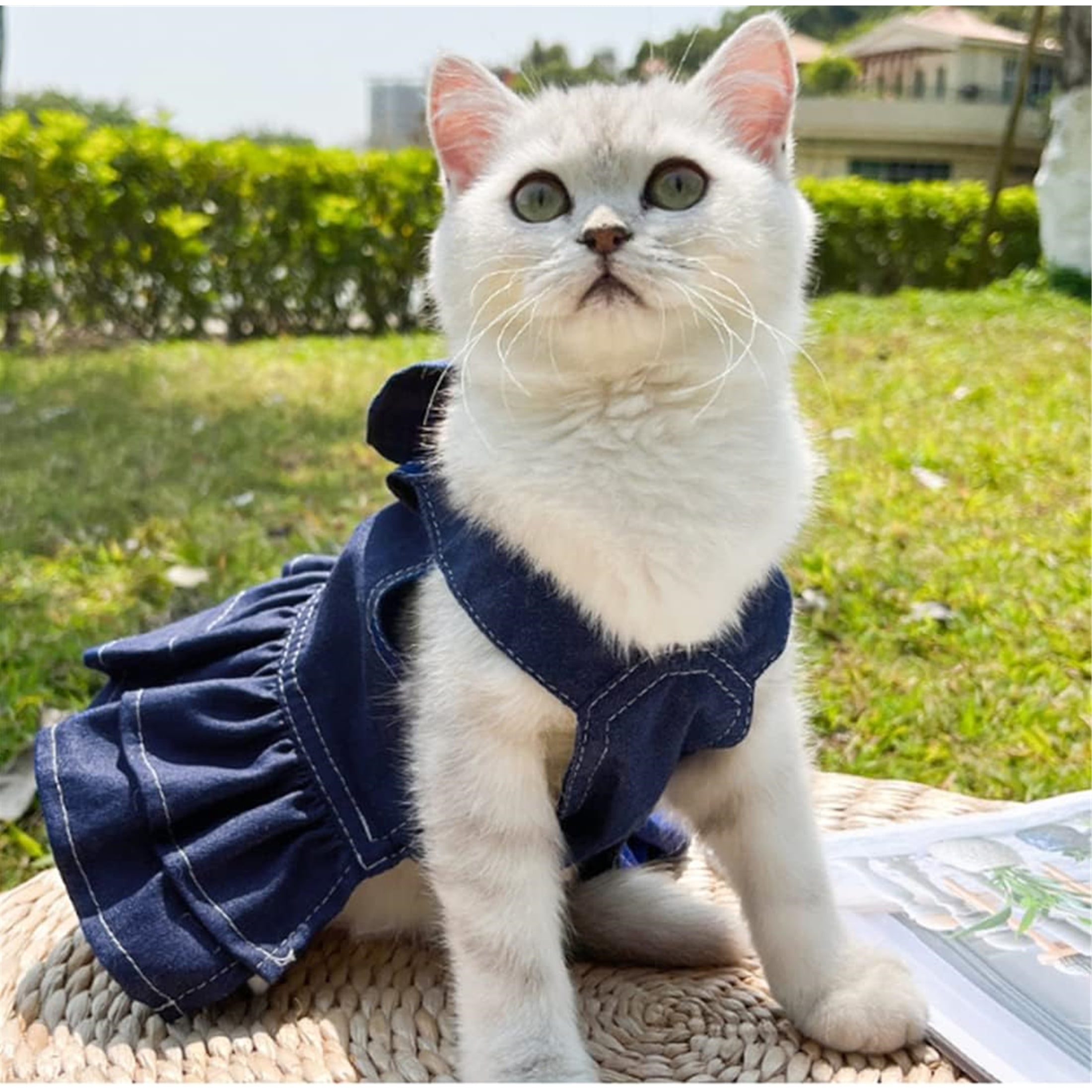 HQREA Denim Dog Dresses for Small Dogs Puppy Girl Clothes with D-ring & Bow Knot Summer Cat Apparel Blue Dog Clothes